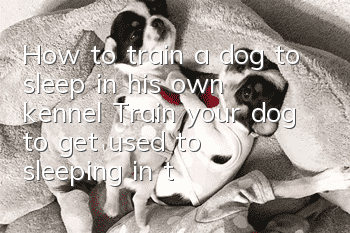 How to train a dog to sleep in his own kennel? Train your dog to get used to sleeping in the kennel!