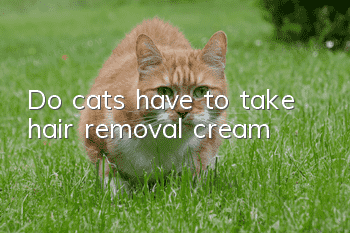 Do cats have to take hair removal cream?