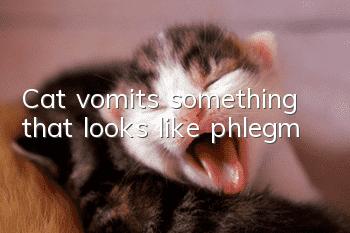 Cat vomits something that looks like phlegm