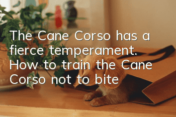 The Cane Corso has a fierce temperament. How to train the Cane Corso not to bite?