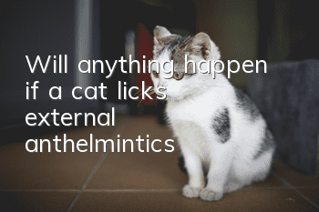 Will anything happen if a cat licks external anthelmintics?