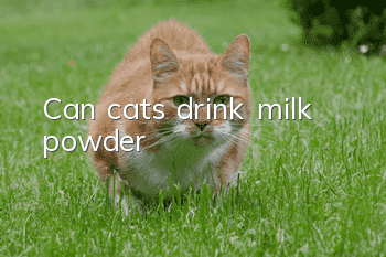 Can cats drink milk powder?