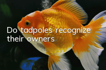 Do tadpoles recognize their owners?