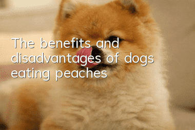 The benefits and disadvantages of dogs eating peaches