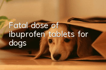 Fatal dose of ibuprofen tablets for dogs