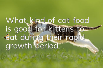 What kind of cat food is good for kittens to eat during their rapid growth period?