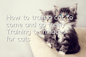 How to train a cat to come and go freely? Training techniques for cats!