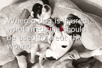 When a dog is injured, what medicine should be used to treat the wound?