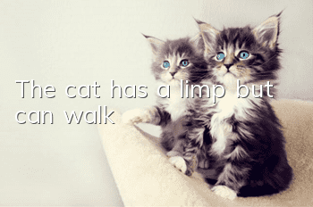 The cat has a limp but can walk