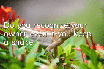 Do you recognize your owner even if you keep a snake?