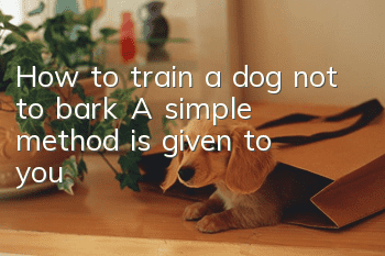 How to train a dog not to bark? A simple method is given to you!