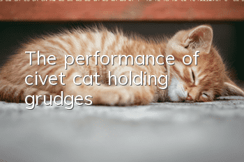 The performance of civet cat holding grudges