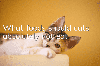 What foods should cats absolutely not eat?