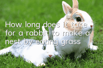 How long does it take for a rabbit to make a nest by eating grass?