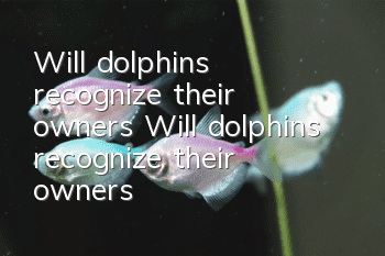 Will dolphins recognize their owners? Will dolphins recognize their owners?