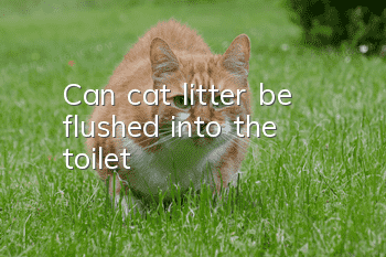 Can cat litter be flushed into the toilet?