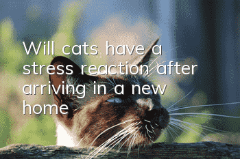 Will cats have a stress reaction after arriving in a new home?