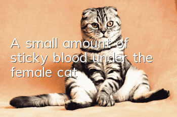 A small amount of sticky blood under the female cat