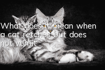 What does it mean when a cat retches but does not vomit?