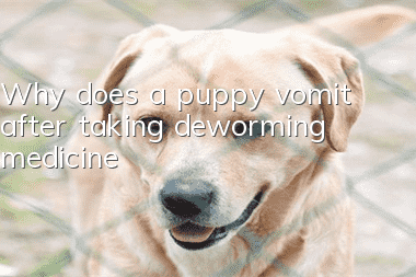 Why does a puppy vomit after taking deworming medicine?