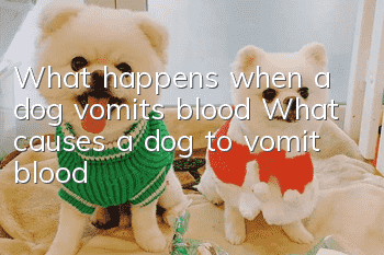 What happens when a dog vomits blood? What causes a dog to vomit blood?