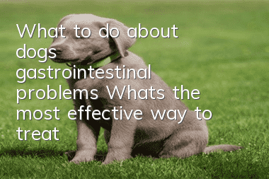 What to do about dogs’ gastrointestinal problems? What’s the most effective way to treat them?