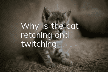 Why is the cat retching and twitching?