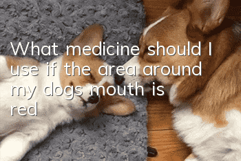 What medicine should I use if the area around my dog’s mouth is red?