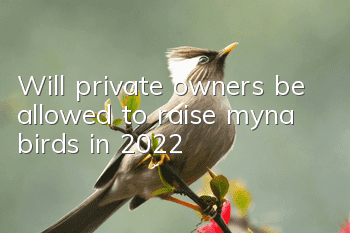 Will private owners be allowed to raise myna birds in 2022?