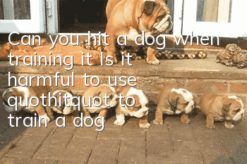 Can you hit a dog when training it? Is it harmful to use "hit" to train a dog?