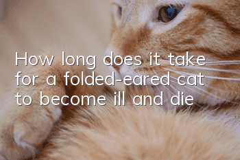 How long does it take for a folded-eared cat to become ill and die?