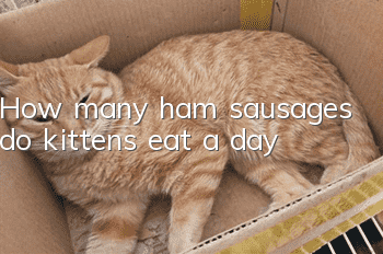 How many ham sausages do kittens eat a day?