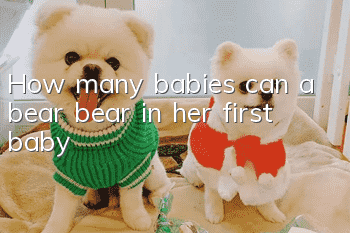 How many babies can a bear bear in her first baby?