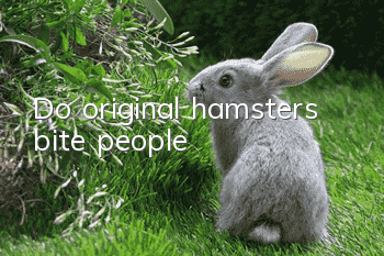 Do original hamsters bite people?