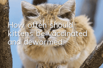 How often should kittens be vaccinated and dewormed?