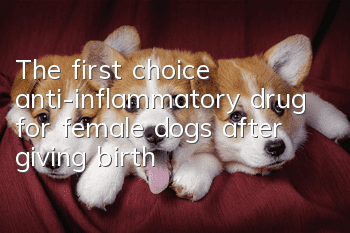 The first choice anti-inflammatory drug for female dogs after giving birth