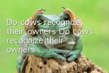 Do cows recognize their owners? Do cows recognize their owners?