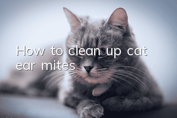 How to clean up cat ear mites?