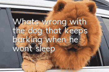 What's wrong with the dog that keeps barking when he won't sleep?