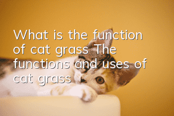 What is the function of cat grass? The functions and uses of cat grass!