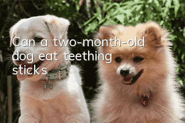 Can a two-month-old dog eat teething sticks?