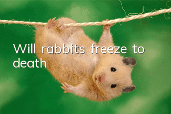 Will rabbits freeze to death?