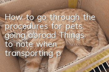 How to go through the procedures for pets going abroad? Things to note when transporting pets abroad!