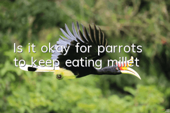 Is it okay for parrots to keep eating millet?