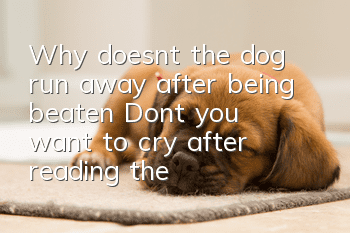 Why doesn’t the dog run away after being beaten? Don’t you want to cry after reading the answer?