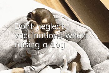 Don’t neglect vaccinations when raising a dog