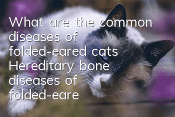 What are the common diseases of folded-eared cats? Hereditary bone diseases of folded-eared cats!