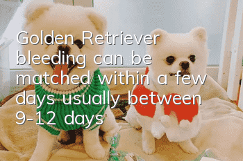 Golden Retriever bleeding can be matched within a few days, usually between 9-12 days!