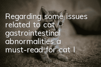 Regarding some issues related to cat gastrointestinal abnormalities, a must-read for cat lovers!