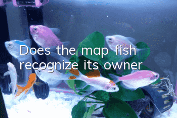 Does the map fish recognize its owner?